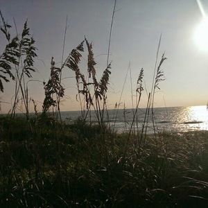 Meet your Posher, Cherie